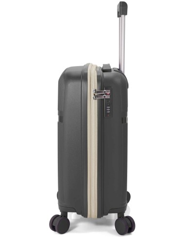 TROLLEY INDIVIDUAL PP 4 RUEDAS EXTENSIBLE BZ5842