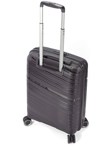 TROLLEY INDIVIDUAL PP 4 RUEDAS DOBLES. EXTENSIBLE BZ5904