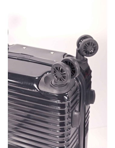 TROLLEY INDIVIDUAL PP 4 RUEDAS DOBLES EXTENSIBLE BZ5914-50